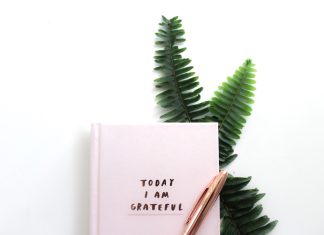 The Joy Sparked When You Look Through a Lens of Gratitude The Joy Sparked When You Look Through a Lens of Gratitude