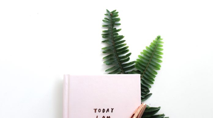 The Joy Sparked When You Look Through a Lens of Gratitude The Joy Sparked When You Look Through a Lens of Gratitude
