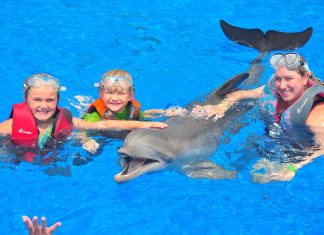Living on the Wild Side: Kid-Friendly Animal Encounters in Florida Living on the Wild Side: Kid-Friendly Animal Encounters in Florida
