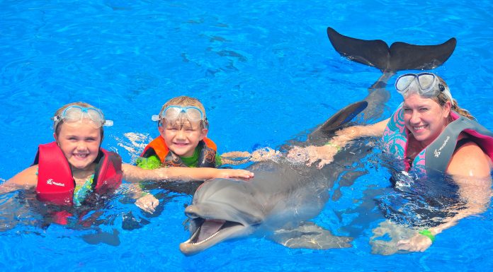 Living on the Wild Side: Kid-Friendly Animal Encounters in Florida Living on the Wild Side: Kid-Friendly Animal Encounters in Florida