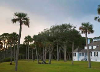 Moving to Jacksonville? 8 Neighborhoods Families Love