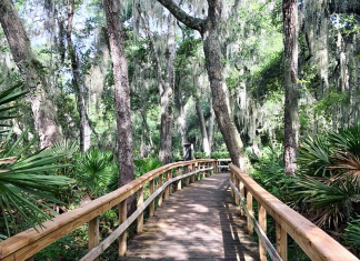 Guide to Great Family Hiking Trails in Jacksonville