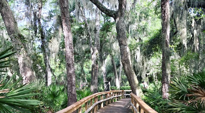 Guide to Great Family Hiking Trails in Jacksonville hiking trails jacksonville
