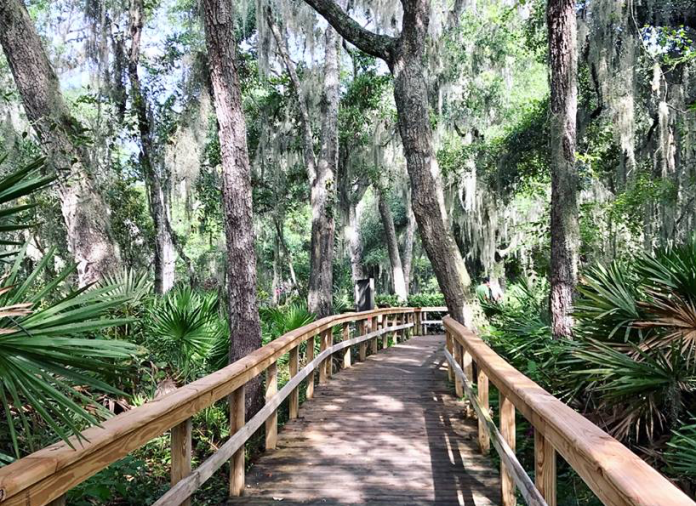 hiking day trips from jacksonville