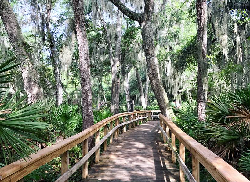 Guide To Great Family Hiking Trails In Jacksonville