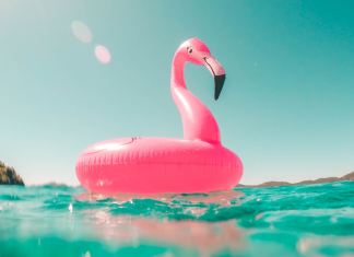 5 Things You Need to Start Your Summer