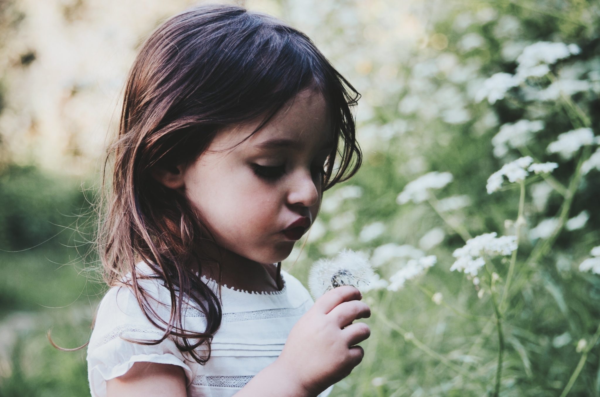 Child with dandelion- Parenting a child with anxiety - Jacksonville Mom  