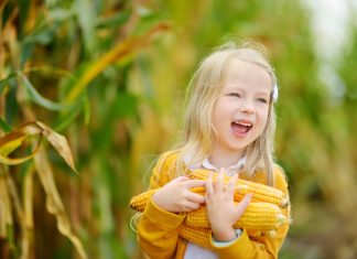 Tips for Making the Forgotten Holiday More Fun thanksgiving
