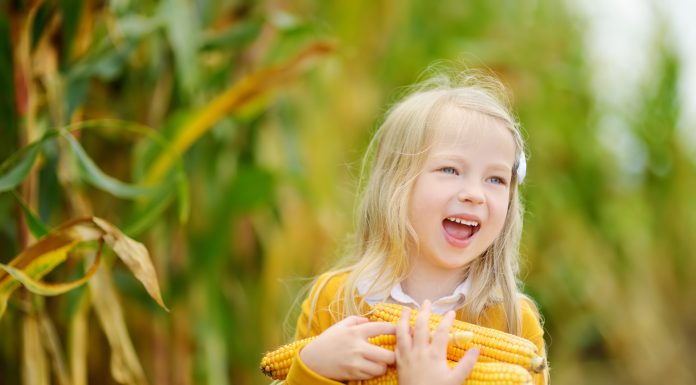 Tips for Making the Forgotten Holiday More Fun thanksgiving
