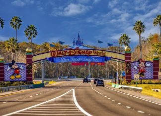 Special Disney World Perks for Florida Residents disney world