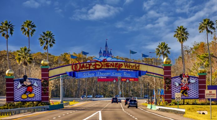 Special Disney World Perks for Florida Residents disney world