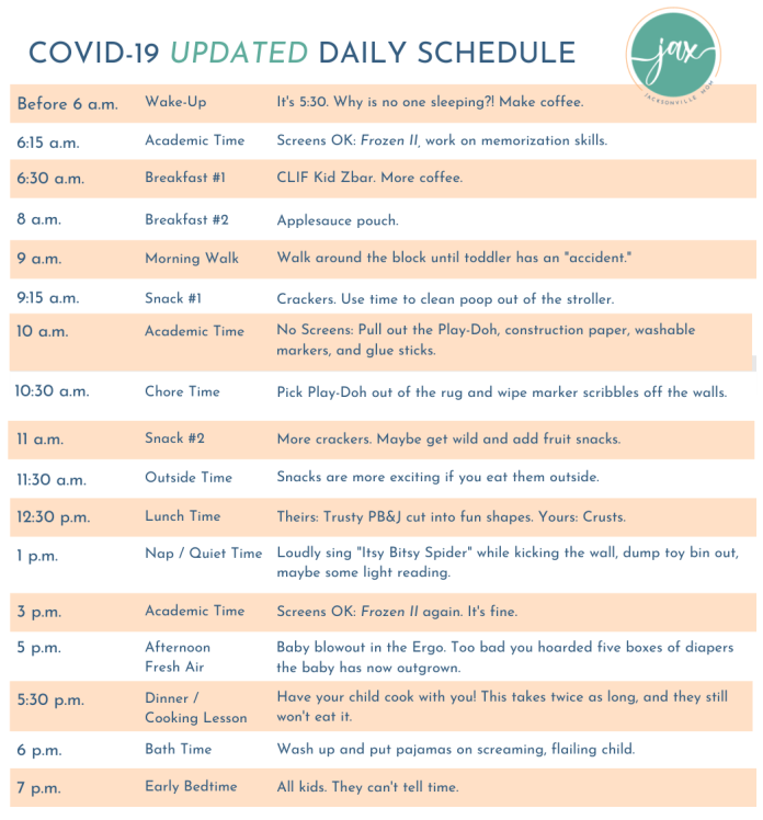 COVID19 Daily Schedule for When Societal Order Breaks Down