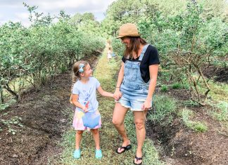 15 Places to Explore the Great Outdoors In & Around Jax 15 Places to Explore the Great Outdoors In & Around Jax