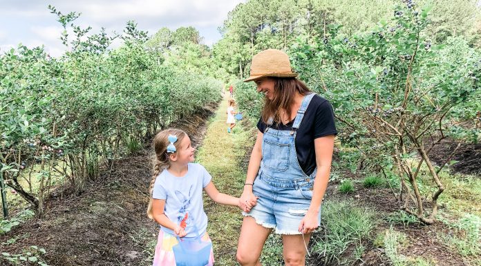 15 Places to Explore the Great Outdoors In & Around Jax 15 Places to Explore the Great Outdoors In & Around Jax