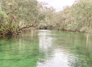 On the Road: Jax to DeLeon Springs and Blue Springs