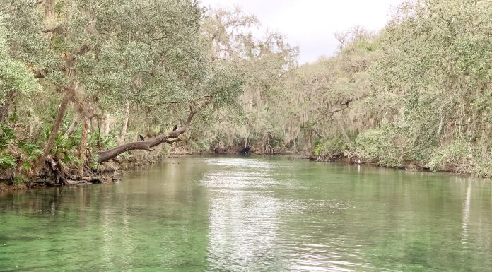 On the Road: Jax to DeLeon Springs and Blue Springs