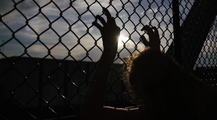 On the Lookout: Keeping Children Safe From Predators