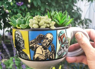 Turn Your Old Junk Into Planters with Gorgeous Greenery planter