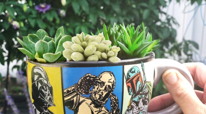 Turn Your Old Junk Into Planters with Gorgeous Greenery planter
