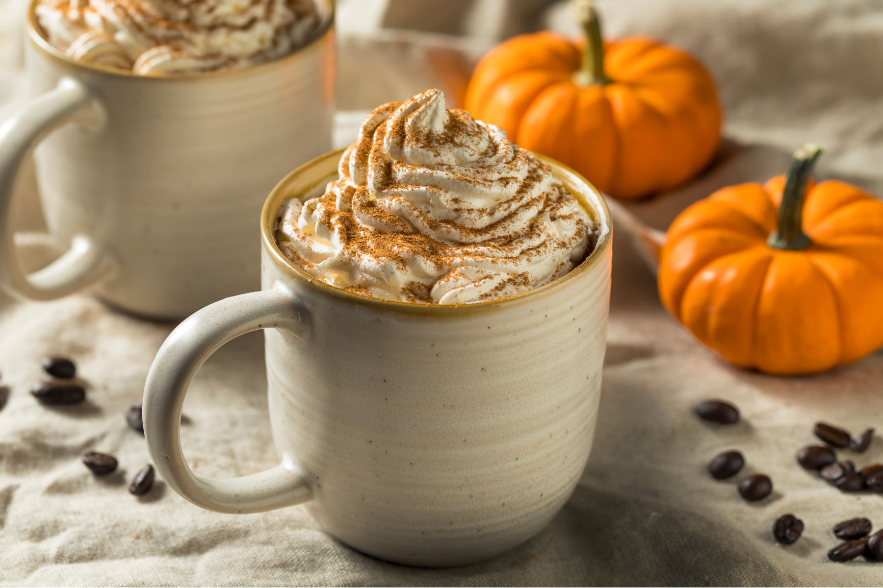 The Pumpkin Spice Obsession How Did We Get Here?