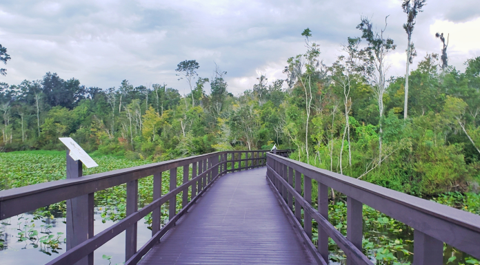 Jacksonville Mom’s Guide to the Best Parks in Clay County parks in clay county