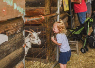 How You Can Help Celestial Farms Animal Rescue celestial farms