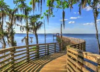 Why I Love Living In Jacksonville (And Why You Should, Too) living in jacksonville
