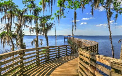 Why I Love Living In Jacksonville (And Why You Should, Too)