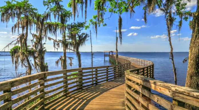 Why I Love Living In Jacksonville (And Why You Should, Too) living in jacksonville