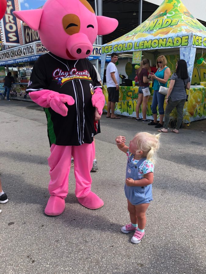 Top 4 Reasons to Attend the Clay County Agricultural Fair!