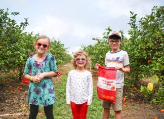 Old Florida Fun: Explore the Showcase of Citrus Showcase of Citrus
