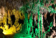 On the Road: Jax to Florida Caverns State Park Florida Caverns State Park