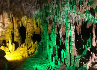 On the Road: Jax to Florida Caverns State Park Florida Caverns State Park