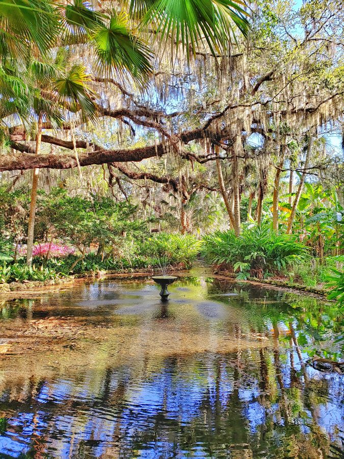 Jacksonville Day Trip, Washington Oaks Gardens State Park