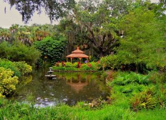 Jacksonville Day Trip: Washington Oaks Gardens State Park Jacksonville Day Trip, Washington Oaks Gardens State Park