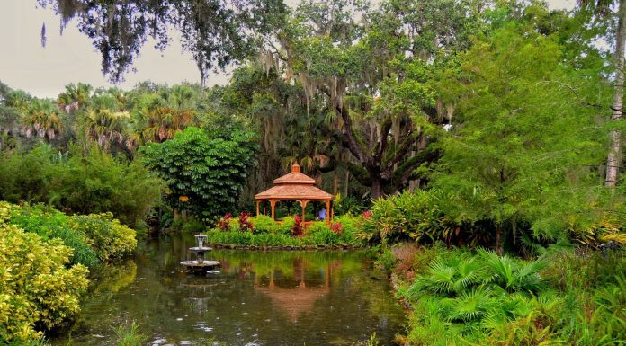 Jacksonville Day Trip: Washington Oaks Gardens State Park Jacksonville Day Trip, Washington Oaks Gardens State Park