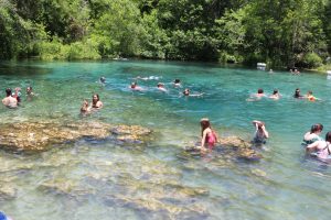 Blue Springs springs in florida, day trips jacksonvillesprings in florida, day trips jacksonville