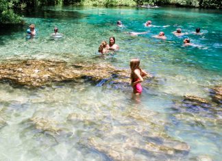 Top 10 Family-Friendly Springs to Explore in Florida springs in florida, day trips jacksonville