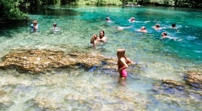 Top 10 Family-Friendly Springs to Explore in Florida springs in florida, day trips jacksonville