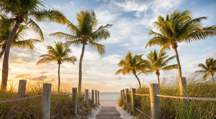 10 Places in Florida to Visit Over a Long Weekend long weekend