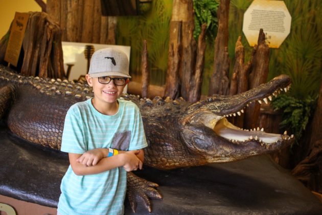 Jacksonville Day Trip: Experience Nature at Okefenokee Swamp Park