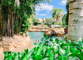 Experience Paradise at Discovery Cove