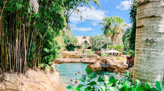 Experience Paradise at Discovery Cove