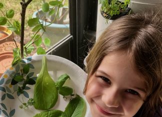 Springtime Fun: Easy Tips for Gardening with Kids gardening with kids