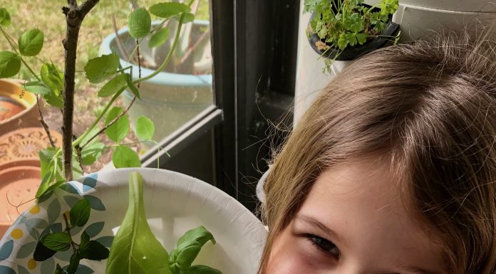 Springtime Fun: Easy Tips for Gardening with Kids gardening with kids