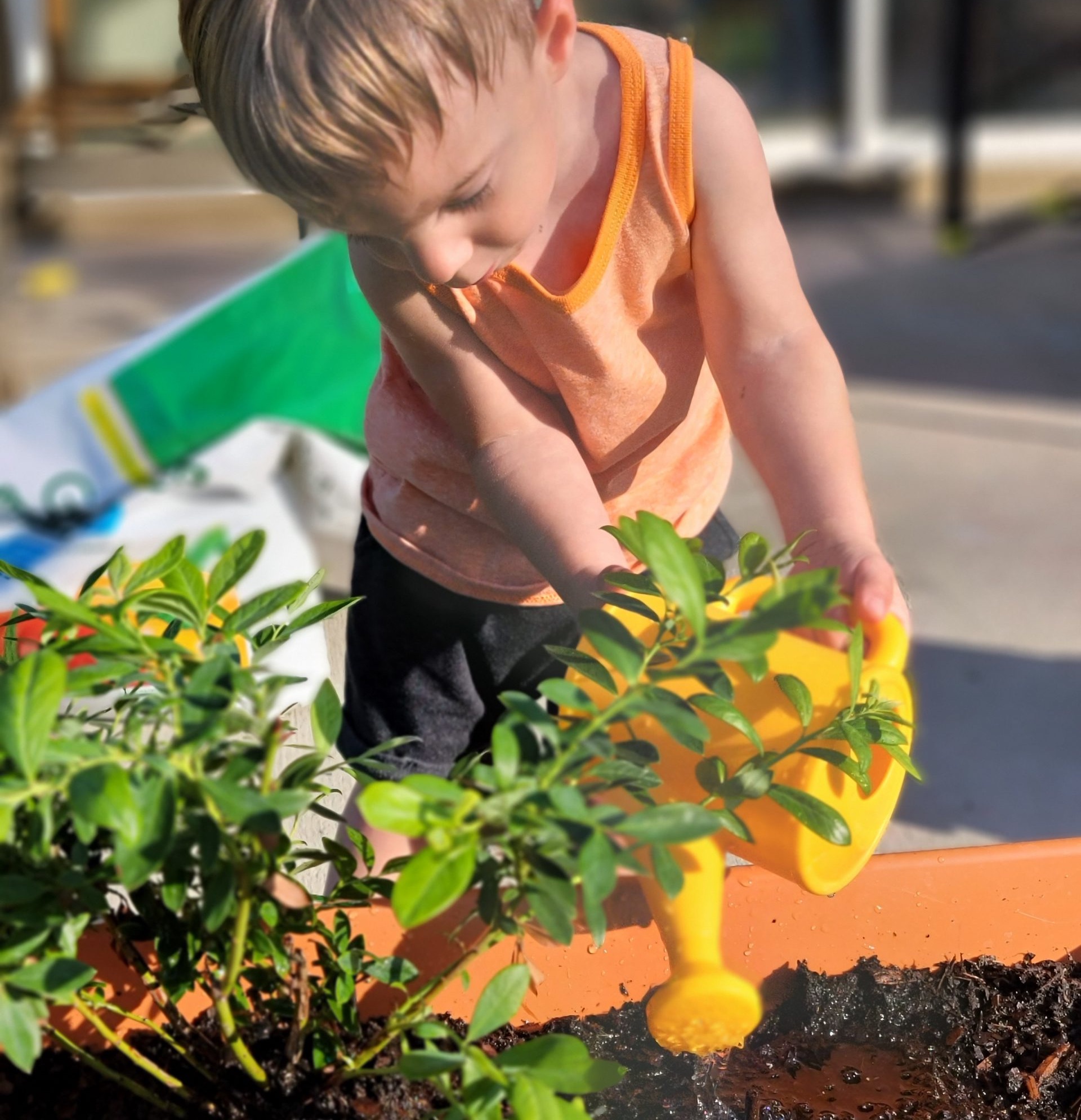 gardening