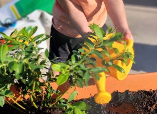 Gardening and Growing Together
