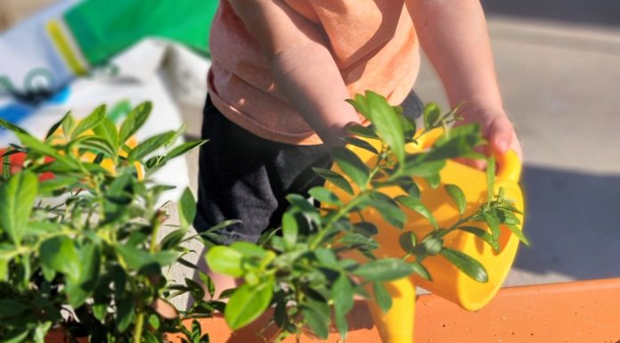 Gardening and Growing Together