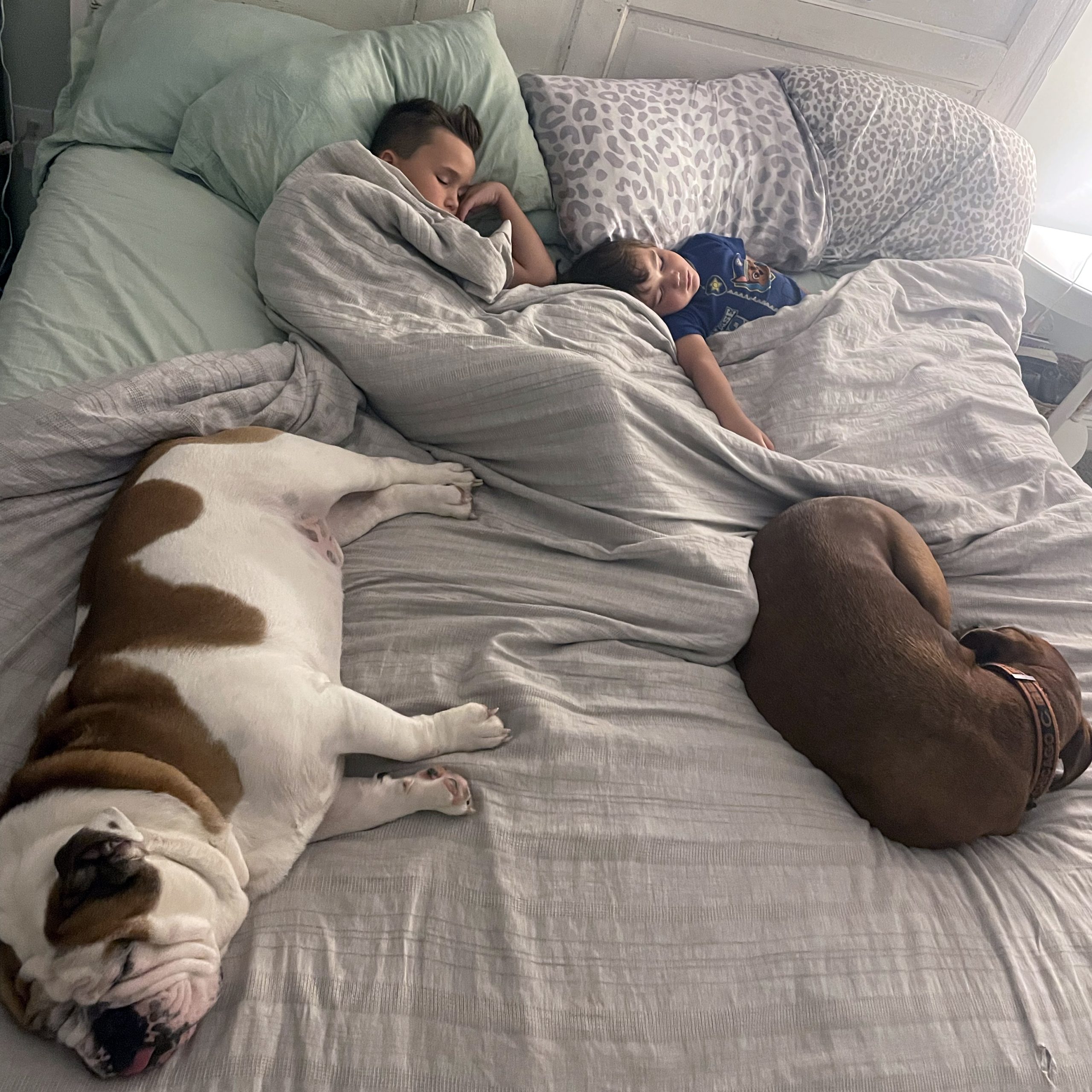 Confessions Of A Co Sleeping Mom