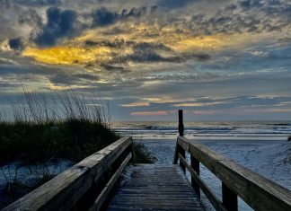 Tips for Keeping Your Family Safe From Summer Toxins